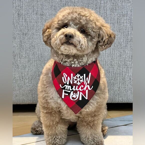 Snow much fun graphic red and black buffalo check bandana size medium - Picture 2 of 4